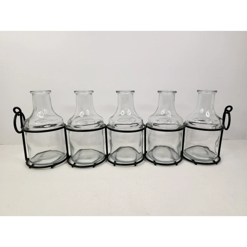 5 Piece Glass Bud Vase Set with Black Metal Wire Rack Caddy Farmhouse Decor